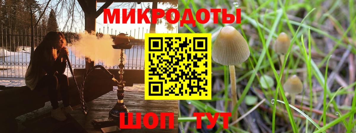 купить   Псилоцибиновые грибы MAGIC MUSHROOMS  Вход с VPN  Артём 
