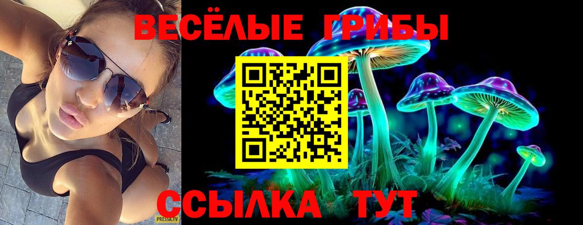 Галлюциногенные грибы мицелий Артём